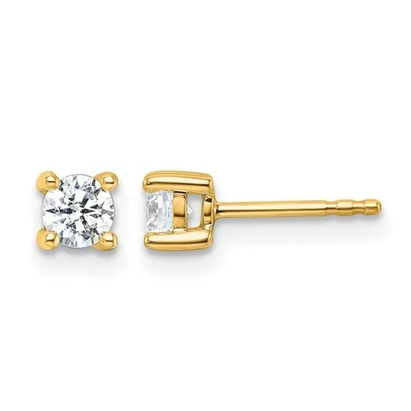 Earrings Code: EM1006-050-LG